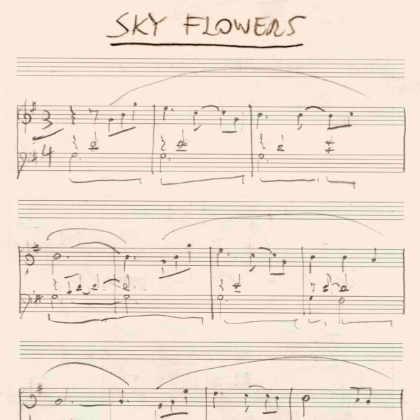 Sky Flowers è il nuovo brano di Remo Anzovino