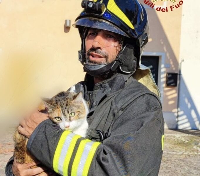 Incendio a San Vito al Tagliamento, I vigili del fuoco salvano un gatto