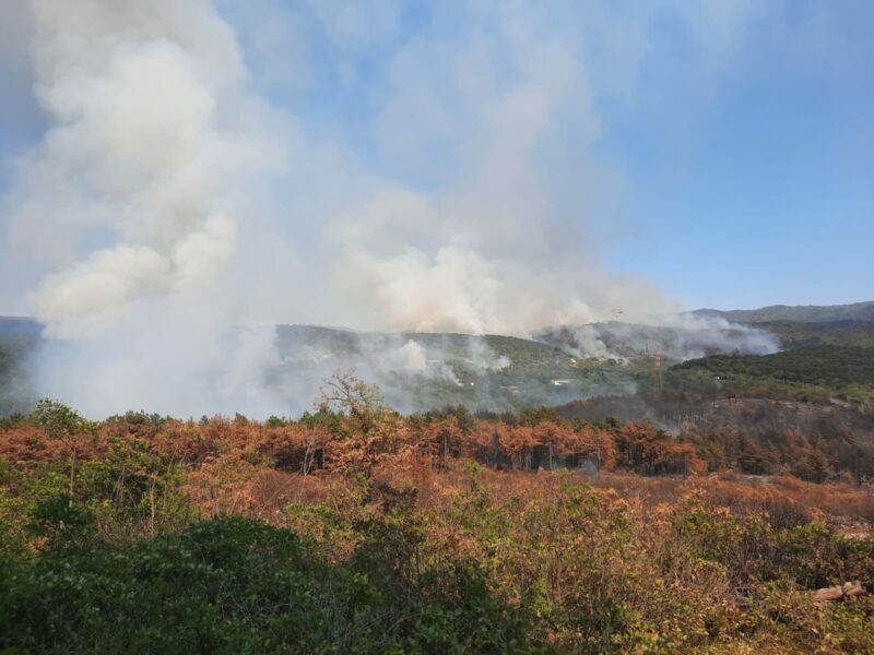 Escursione nel Carso devastato dagli incendi dell’estate 2022. Domenica 8 ottobre