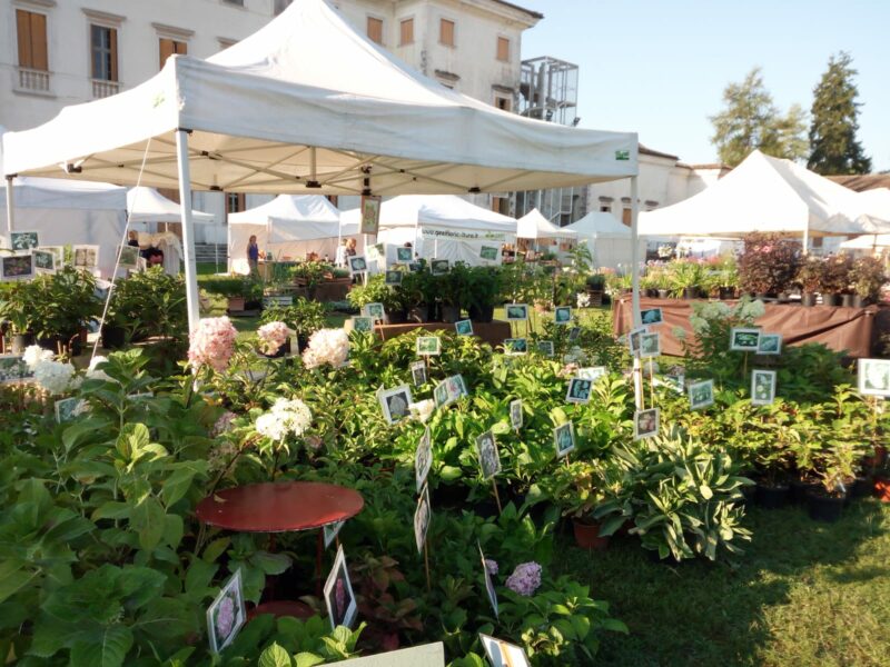 Sabato 16 e domenica 17 marzo a Passariano di Codroipo “Nel Giardino del Doge Manin”