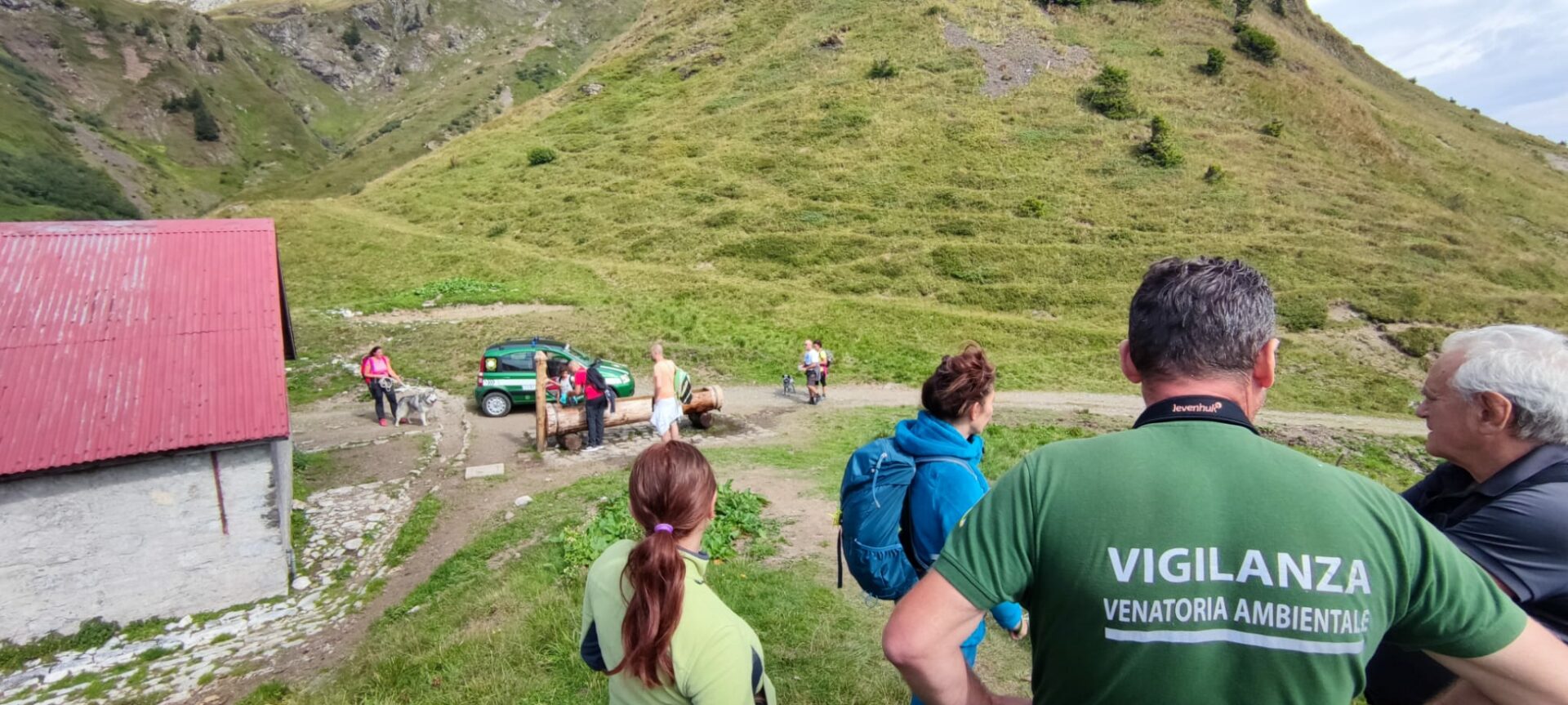 Cani in montagna, mai senza guinzaglio: il richiamo delle guardie Federcaccia Fvg