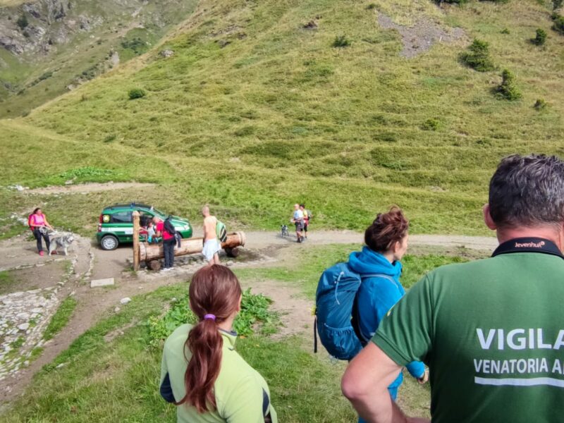 Cani in montagna, mai senza guinzaglio: il richiamo delle guardie Federcaccia Fvg