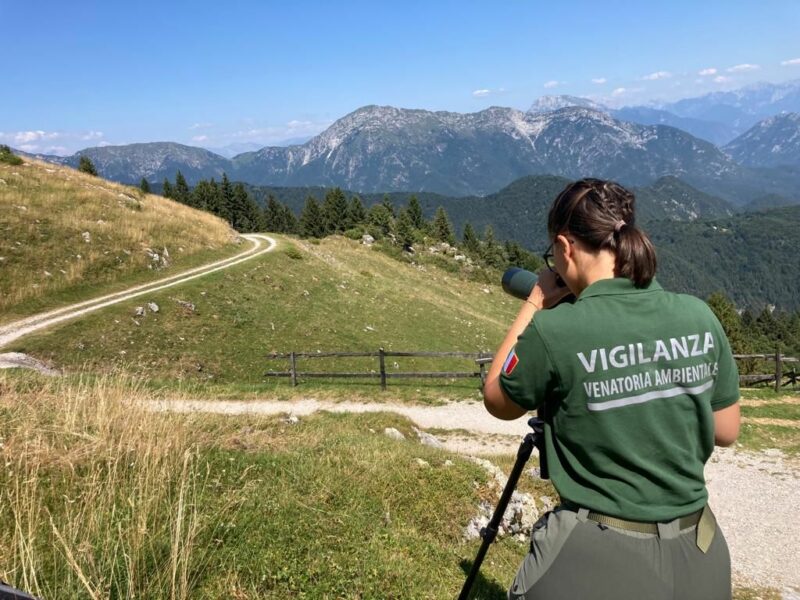 Federcaccia Fvg pronta a vigilare sul rispetto delle regole durante la stagione della caccia