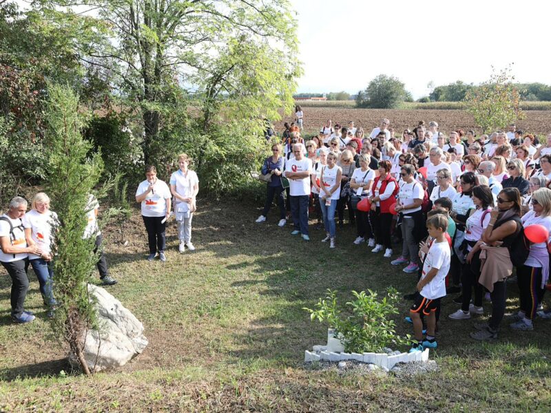 CamminAndos: 6 ottobre al Parco del Cormor camminata contro il tumore al seno