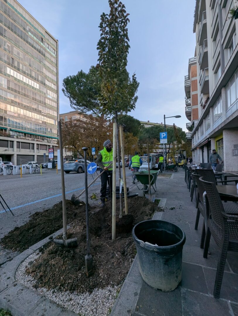 Udine: 59 nuovi alberi in Borgo Stazione